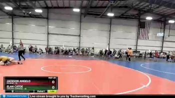 210 lbs Round 4 (6 Team) - Jackson Angelo, PA Blue vs Elan Catoe, Virginia Hammers