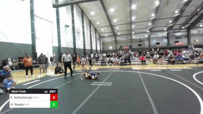 46 lbs Semifinal - Easton Saltenberger, Patriot Mat Club vs Alexander Neaga, Independent