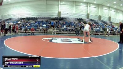 136 lbs Quarterfinal - Ethan White, MI vs Trey Straquadine, OH