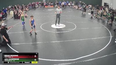 80 lbs Round 1 (4 Team) - Levi Dandridge, Summerville vs Briar Redding, Team Tiger