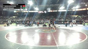 106 lbs Cons. Round 2 - Paxton Rosales, Capistrano Valley vs Lincon Balmforth, Shelley