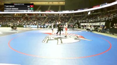 107 lbs Cons. Round 1 - Lily Gullo, Horseheads-4 vs Violet Herman, Fairport-5