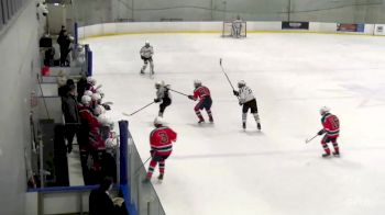 Replay: Home - 2025 Islanders U14 vs Niagara U14 | Mar 1 @ 5 PM