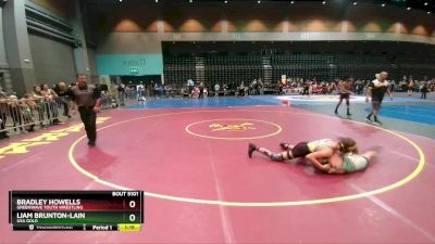 139-149 lbs Round 1 - Liam Brunton-Lain, USA Gold vs Bradley Howells, Greenwave Youth Wrestling