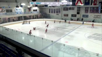 Replay: Home - 2024 Pennsauken U8 vs Venom U8 | Feb 17 @ 6 AM