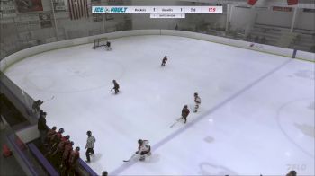 Replay: Home - 2024 Rockets HC U10 vs Bandits 10U White | Jan 14 @ 10 AM