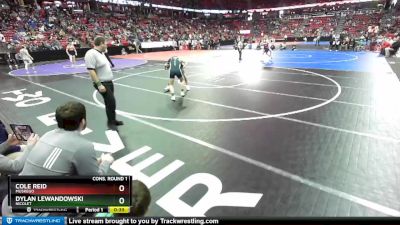 D1-138 lbs Cons. Round 1 - Dylan Lewandowski, Nicolet vs Cole Reid, Muskego