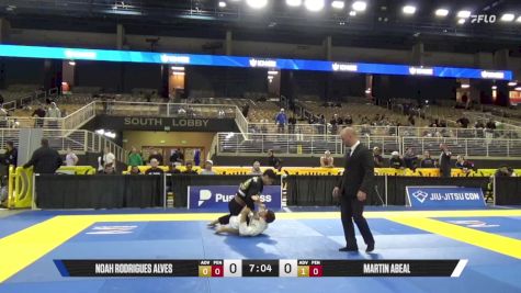 Martin Abeal vs Noah Rodrigues Alves 2025 Pan Jiu Jitsu IBJJF Championship