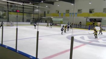 Replay: Home - 2023 Penguins U14 vs Sud. Wolves U14 | Nov 24 @ 10 AM