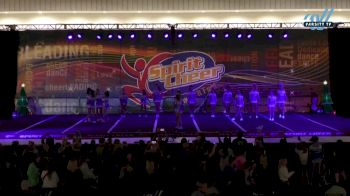 The Stingray Allstars - Tropic [2024 L3 Junior - Small Day 2] 2024 Spirit Cheer Dance Grand Nationals & Cheer Nationals