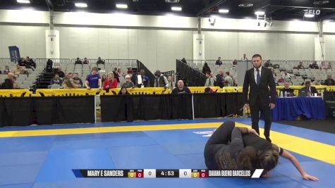 Erin Nicole Quillen vs Mary E Sanders 2024 World IBJJF Jiu-Jitsu No-Gi Championship