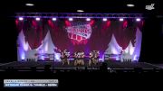 Extreme Cheer & Tumble - REIGN [2025 L4 Senior - D2 Day 1] 2025 NCA Holiday Classic