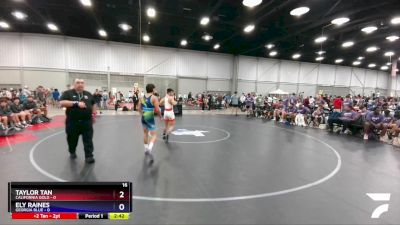 132 lbs Quarterfinals (8 Team) - Taylor Tan, California Gold vs Ely Raines, Georgia Blue