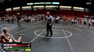 88 lbs Quarterfinal - Roland Maschek, Crestwood vs Parker Biel, DWA