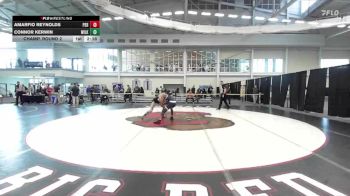 133 lbs Champ. Round 2 - Connor Kerwin, Wilkes vs Amarfio Reynolds, Penn State Behrend