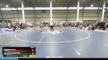 95 lbs 3rd Place Match - Mateo Black, Homedale vs Blaine Ethington, New Plymouth