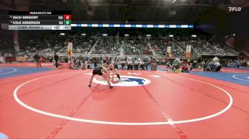 4A-120 lbs Cons. Round 2 - Zach Gregory, Cheyenne South vs Cole Anderson, Cheyenne East