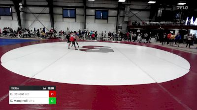 133 lbs Quarterfinal - Chris DeRosa, New England College vs Gianni Manginelli, Springfield