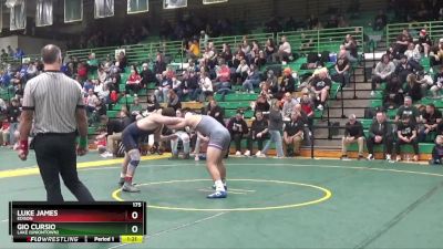 175 lbs Quarterfinal - Luke James, Edison vs Gio Cursio, Lake (uniontown)