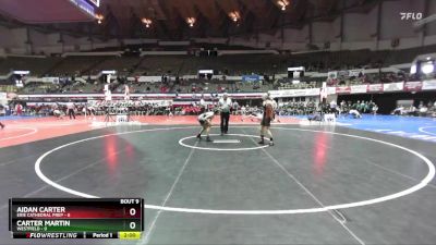 113 lbs Quarters & Wb (16 Team) - Aidan Carter, Erie Cathedral Prep vs Carter Martin, Westfield