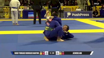 Jaewook Ann vs Diogo Trindade Rodrigues Martins 2025 World Jiu-Jitsu IBJJF Championship