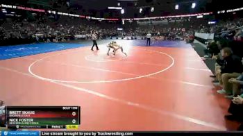 D1-152 lbs Cons. Round 1 - Brett Skaug, Brookfield East vs Nick Foster, New Berlin West/Eisen.