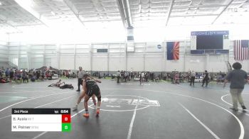 136 lbs 3rd Place - Briseis Ayala, No Team vs Marissa Palmer, Stout Wrestling Academy