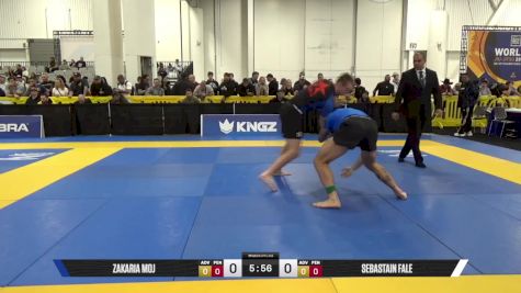 SEBASTAIN FALE vs Sabastian Whitesock 2025 World IBJJF Jiu-Jitsu No-Gi Championship