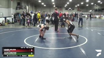 82 lbs Champ. Round 2 - Gavin Shelton, Three Rivers Wildcats vs Asher Wilson, Hudson WC