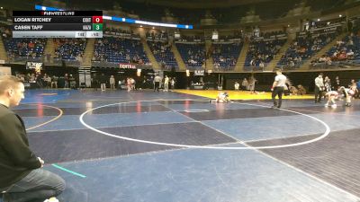 65 lbs Consy 2 - Logan Ritchey, Central York vs Casen Taff, Nazareth