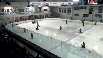 Replay: Home - 2024 Revolution U10 vs Hitmen U10 Minor | Feb 4 @ 11 AM