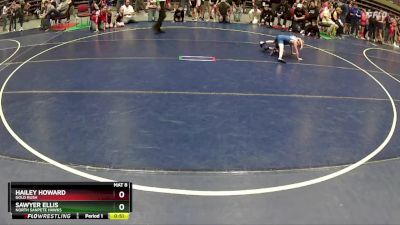 45 lbs Cons. Round 3 - Sawyer Ellis, North Sanpete Hawks vs Hailey Howard, Gold Rush