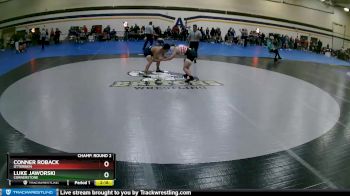 149 lbs Champ. Round 2 - Luke Jaworski, Cornerstone vs Conner Roback, Otterbein