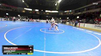 126 lbs Champ. Round 2 - Briella Reynosa, Somerton High School vs Harper Frost, Mica Mountain