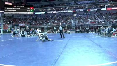 3A-132 lbs Champ. Round 2 - Carter Pearson, Southeast Polk vs Jack Foster, Xavier, Cedar Rapids