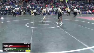 93 lbs Semifinal - Cameron Young, Alber Athletics WC vs Brody Page, Yorkville WC