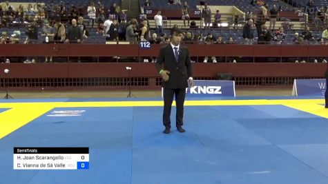 Hailee Joan Scarangello vs Carolina Vianna De Sá Vallejo 2024 Pan IBJJF Jiu-Jitsu No-Gi Championship