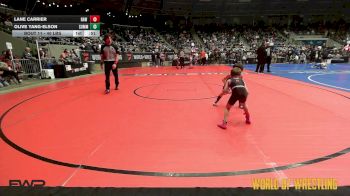 40 lbs Round Of 16 - Lane Carrier, RAW Wrestling Club vs Olive Yang-Elson, Summit Wrestling Academy