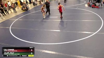 87 lbs Cons. Round 3 - Cal Conner, Anoka Youth Wrestling vs Caleb Jolly, Forest Lake Wrestling Club