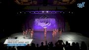 The Dance Vault - Mini Elite Large Jazz [2025 Mini - Jazz - Large Day 2] 2025 Power Dance Grand Nationals