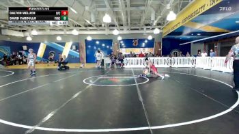 120 lbs Semis & Wb (16 Team) - Dalton Meluch, Naperville Central vs David Cardullo, Palm Harbor WC
