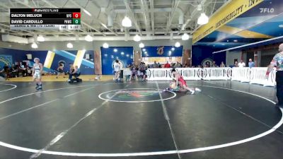 120 lbs Semis & Wb (16 Team) - Dalton Meluch, Naperville Central vs David Cardullo, Palm Harbor WC