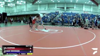 285 lbs Quarterfinal - Cal Chapman, MI vs Dominic Kroninger, OH