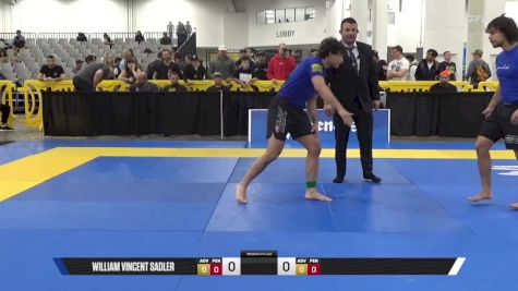 Brandon Rengifo vs William Vincent Sadler 2025 World IBJJF Jiu-Jitsu No-Gi Championship