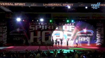 The Stingray Allstars - Tulip [2025 L2 Youth - Small Day 1] 2025 Spirit of Hope Grand Nationals