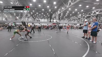 76 lbs Round 6 (10 Team) - Mason Gibson, Revival Riddlers vs Tate Bauer, Ohio Gold