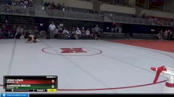 113 lbs Round 5 (8 Team) - Jesse Lewis, Norfolk vs Garrison Brehm, Waverly