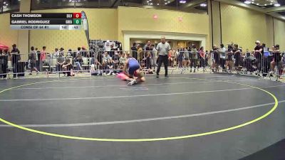 132 lbs Consi Of 64 #1 - Cash Thomson, Silverback WC vs Gabriel Rodriguez, Great Oak HS
