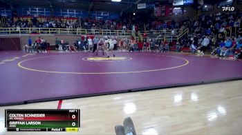 165 lbs Quarterfinal - Griffan Larson, Avon vs Colten Schneider, Mt. Vernon