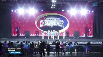 The Stingray Allstars - Falcon [2025 L1 Senior Day 1] 2025 Cheer Power Grand Nationals